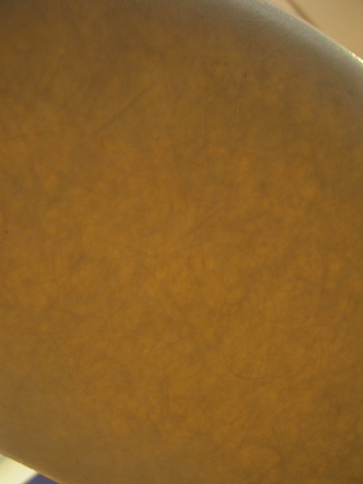 Swaged Leg Chair / George Nelson / HERMAN MILLER