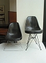 Eames side shell