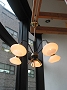 Glass x Steel Lamp