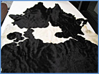 Cow Hide Rug A