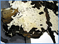 Cow Hide Rug B
