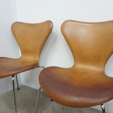 0DSC06444